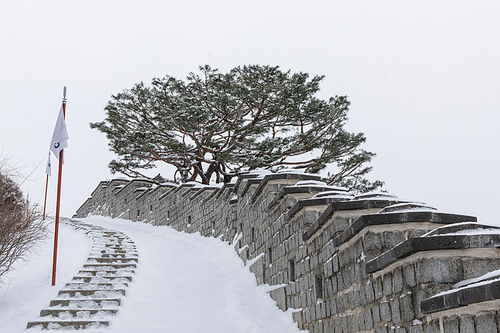 눈오는날_수원화성 성곽길 겨울 전경 사진 이미지