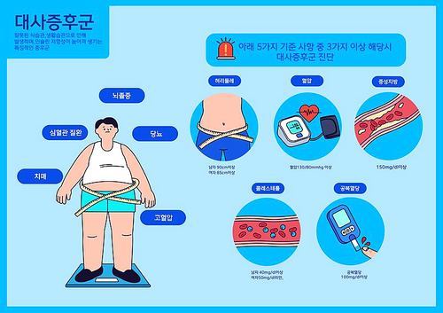 대사증후군 진단기준 안내 벡터