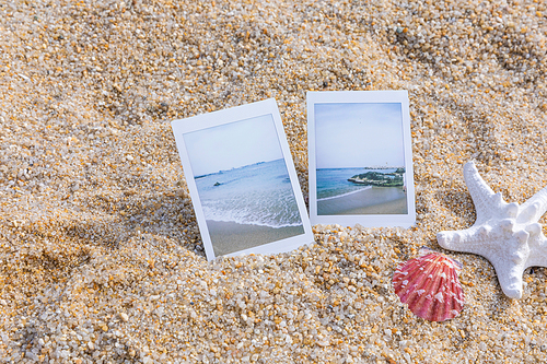 해변_폴라로이드 필름과 조개껍질 사진 이미지