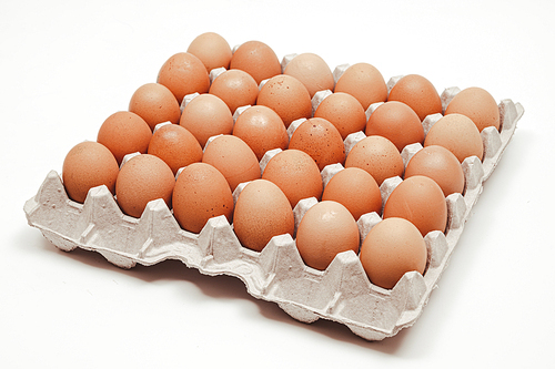 계란 한판