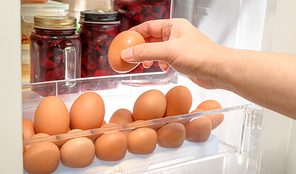 냉장고 선반에 계란을 정리하는 손
