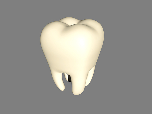 치아 이빨 3D 모형