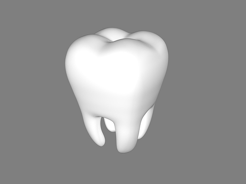 치아 이빨 3D 모형