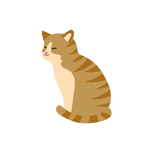 갈색 태비 줄무늬의 앉아 있는 아기 고양이