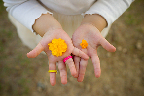 작고 귀여운 노란색 꽃봉오리와 소녀의 손