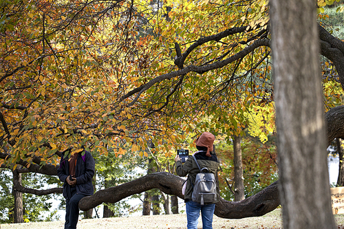 가을에 단풍이 든 나무를 배경으로 사진을 찍는 사람