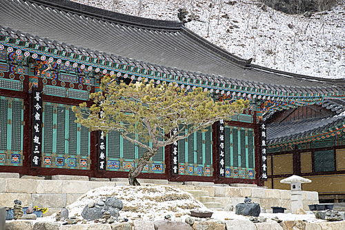 강원도 정선군 정암사의 한국전통 건물
