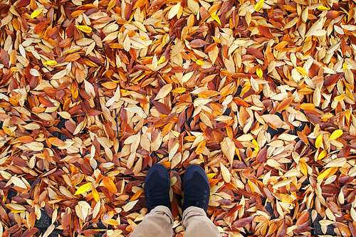 낙엽을 밟고 있는 발