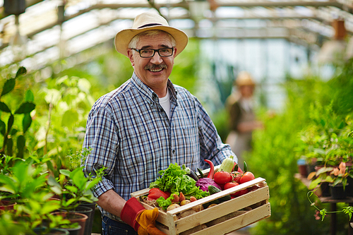 Happy mature man holding fresh vegetables