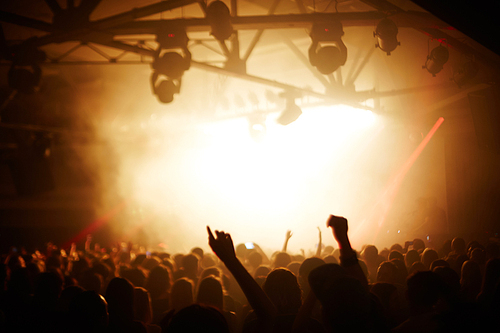 Crowd of people enjoying concert in night club