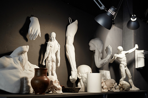 Collection of sculptural figures of human body parts in museum or school of arts