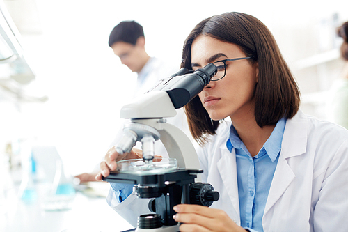 Chemist or scientist looking in microscope