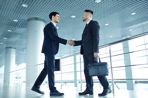 Successful business leaders with briefcases handshaking at meeting