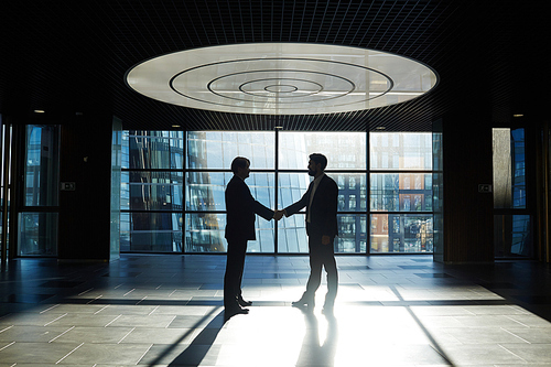 Two entrepreneurs handshaking in office center against window with sunlight penetrating inside