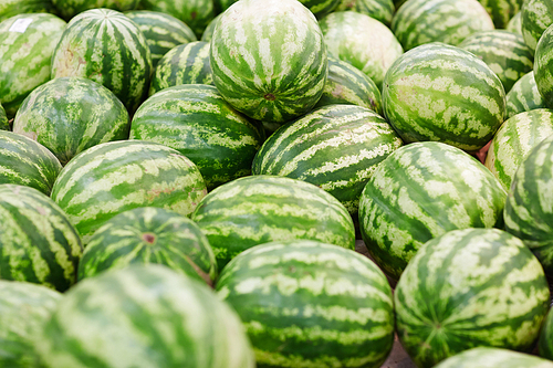 Close-up of heal of fresh watermelons