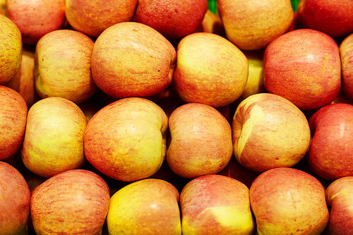 Close-up of rows of apples apples