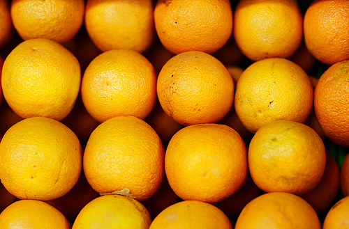 Close-up of ripe oranges in a row