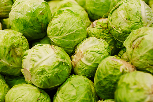 Close-up of cabbages in supermarket