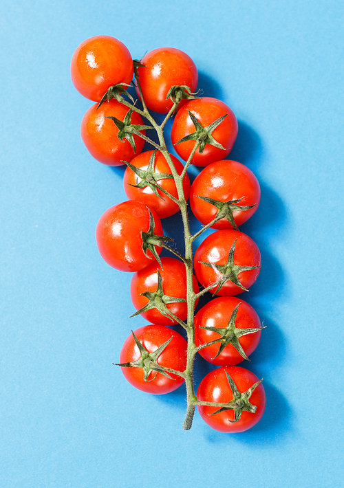 Close-up of cherry tomatoes on branch isolated on blue background