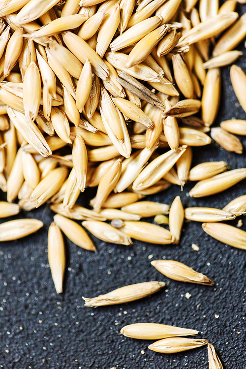 Close-up of oat grain