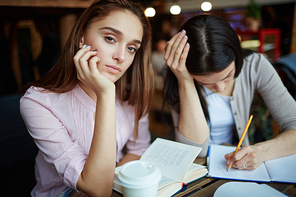 College students getting ready for seminar in library