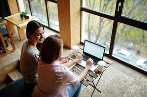 Friendly teenagers sitting in cafe with laptop at leisure