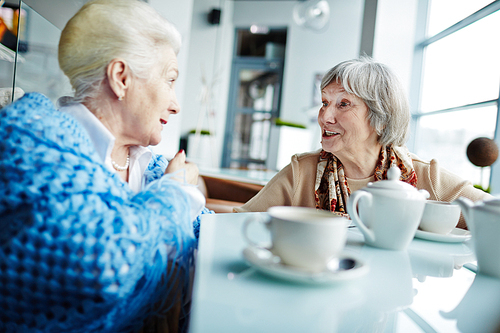 Senior women sitting in cafe and interacting