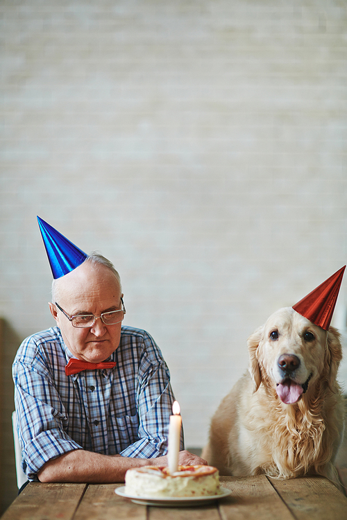 Mature man and his pet in birthday hats sitting by table with cake on it