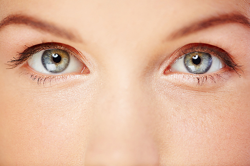 Close up of beautiful female grey eyes