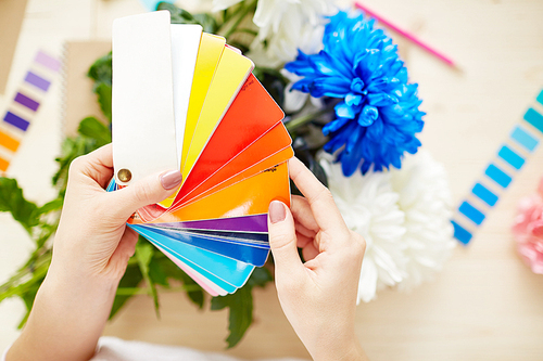 Female holding color swatch in hands