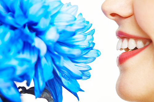 Close-up of female face smelling a flower