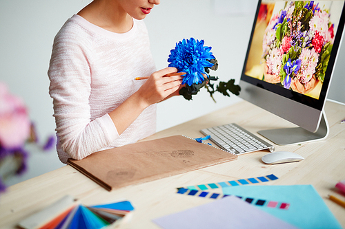 Woman drawing flower for graphic design