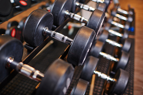 Row of barbells in gym