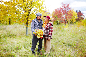 Romantic seniors looking at one another in park in autumn