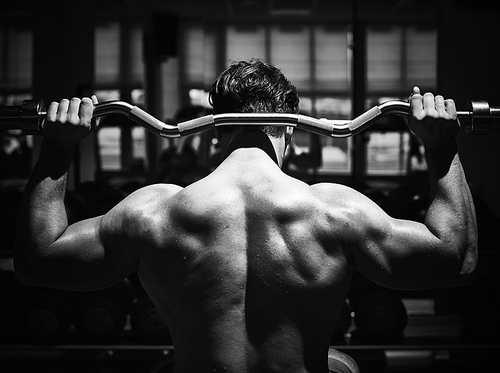 Young athlete doing exercise for muscles on special sport equipment