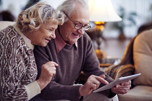 Elderly husband and wife networking at home
