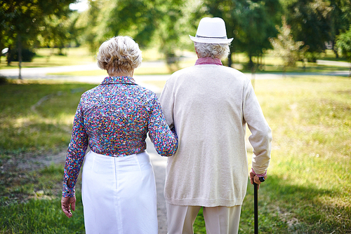 Rear view of seniors taking a walk in the park