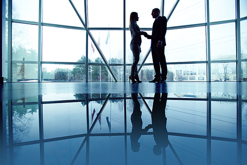 Outlines of employees handshaking by the window in office