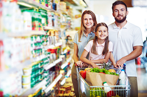 Young family with a cart in the store