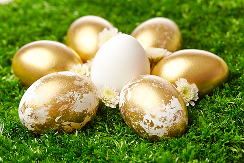 Golden eggs on grass to represent wealth and luck