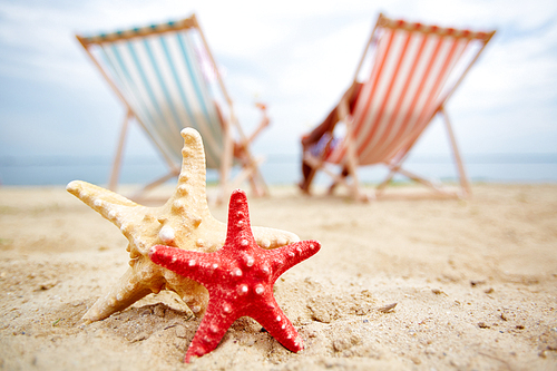 Two sea stars on sandy beach with sunbathers on background