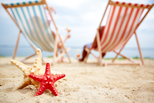 Two sea stars on sand and relaxing sunbathers on background
