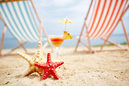 Two sea stars on sandy beach with cocktail on background