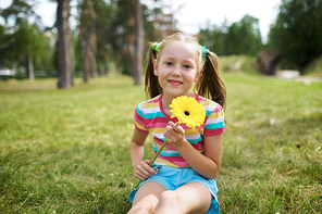 Portrait of lovely little girl with ponytails sitting on green grass in park, holding beautiful Gerbera flower and smiling at camera