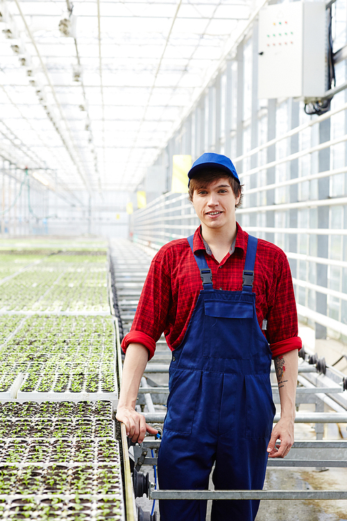 Young farmer in greenhouse worker uniform taking care of vegetation