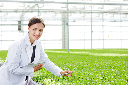 Successful farming researcher studying characteristics of plants growing in greenhouse