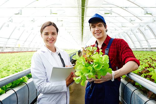 Successful selectionists  while working in greenhouse