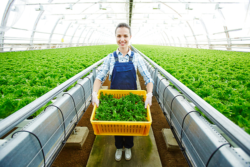 Young woman holding box with fresh organic bio food for sale at marketplace