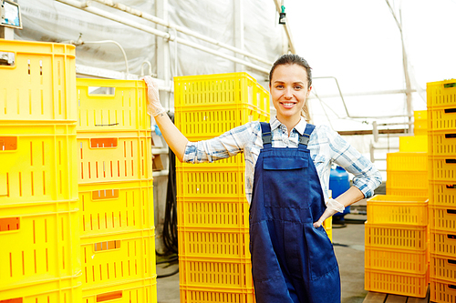 Vendor of organic food leaning at stack of plastic boxes in greenhouse