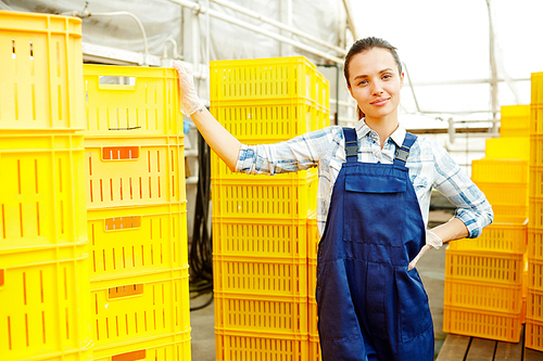 Modern farmer standing by stacks of plastic boxes with packed harvest for market sale
